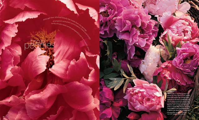 Martha Stewart Living magazine spread