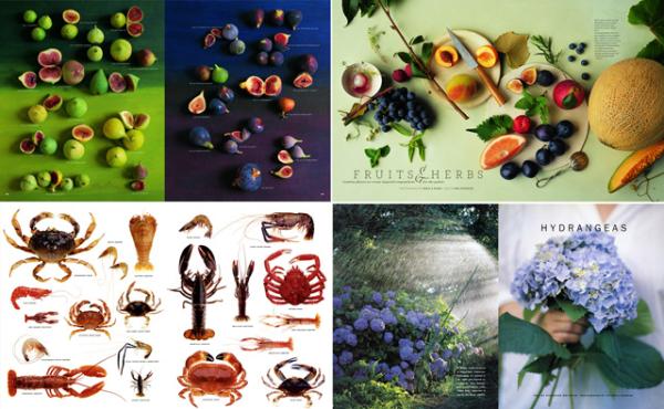 Martha Stewart Living spreads
